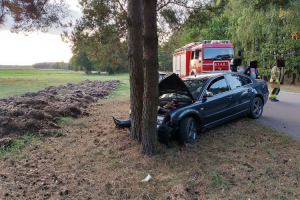 Wypadek w Cierpiętach. Pijany kierowca uderzył w drzewo i uciekł (zdjęcia, aktualizacja)