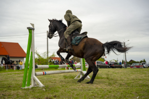 Miłośnicy koni i jazdy konnej spotkali się w Nogawkach (zdjęcia, wideo)