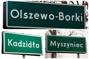 Druga tura wyborów w Kadzidle, Myszyńcu i Olszewie-Borkach. Kogo popierają ci, którzy już odpadli