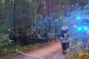 Zaczyna się. W środę strażacy dwukrotnie wyjeżdżali do pożarów lasów (zdjęcia)