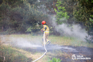 Pożar traw i nieużytków przy ul. Ławskiej (zdjęcia)